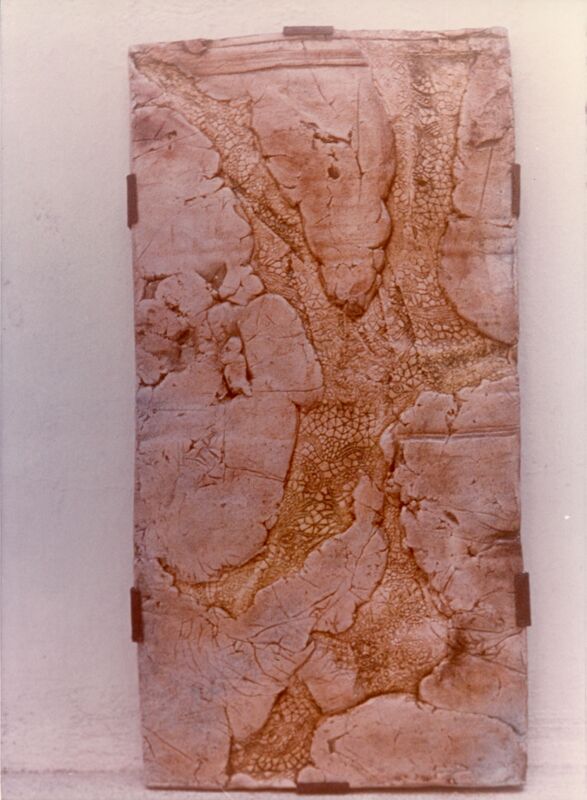 צילום, עידית עדי (1974), עידית עדי, תערוכת יחיד, Galeria Intercontinental (Rio de Janeiro), 1974, Galeria Intercontinental - 1974 - עידית עדי - צבע מקורי 006.jpg