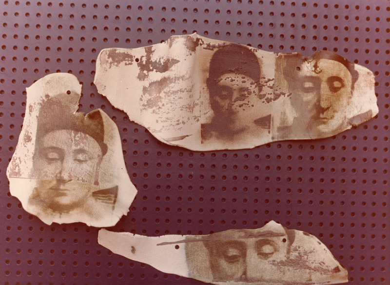 צילומי הצבה, Arboles trasmutados, עידית עדי, תערוכת יחיד, Galeria Kin (Mexico City), 1983, Arboles trasmutados