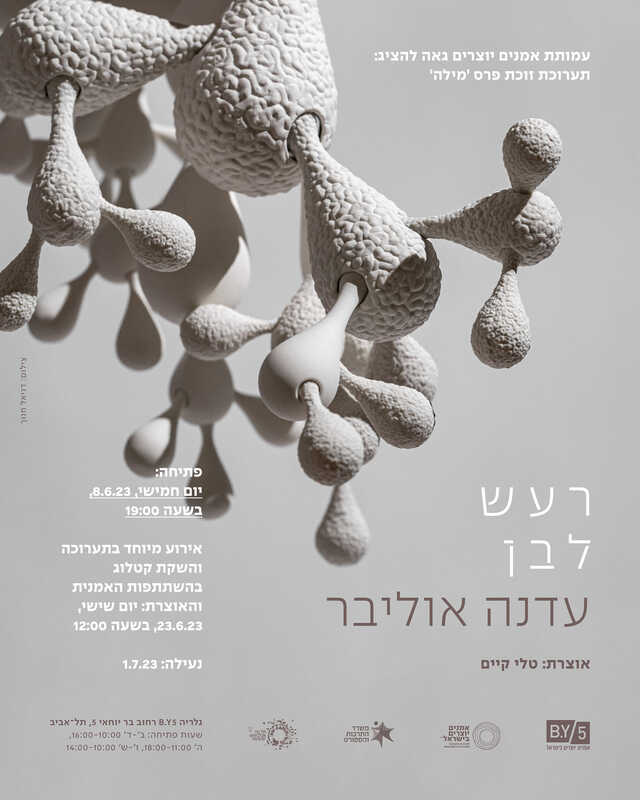 הזמנה, רעש לבן, עדנה אוליבר, תערוכת יחיד, גלריה B.Y5, 2023