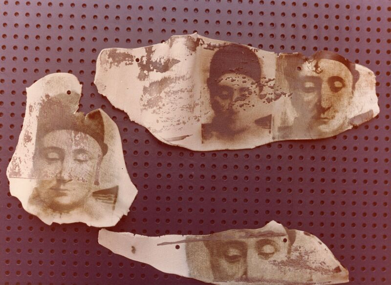 צילומי הצבה, Arboles trasmutados, עידית עדי, תערוכת יחיד, Galeria Kin (Mexico City), 1983, Arboles trasmutados