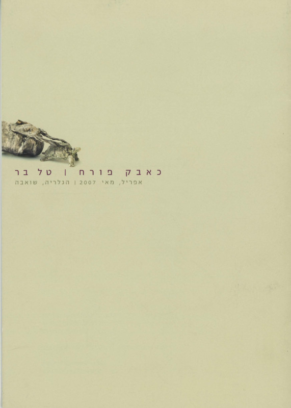 קטלוג, כאבק פורח, טל בר, תערוכת יחיד, הגלריה - שואבה, 2007