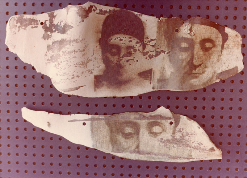 צילומי הצבה, Arboles trasmutados, עידית עדי, תערוכת יחיד, Galeria Kin (Mexico City), 1983, Arboles trasmutados