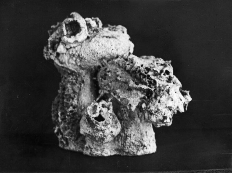 צילום, תערוכת קרמיקה (1970), עידית עדי, תערוכת יחיד, גלריה על שם צ'מרינסקי (תל אביב), 1970, גלריה צמרינסקי - 1970 - עידית עדי -  032.jpg