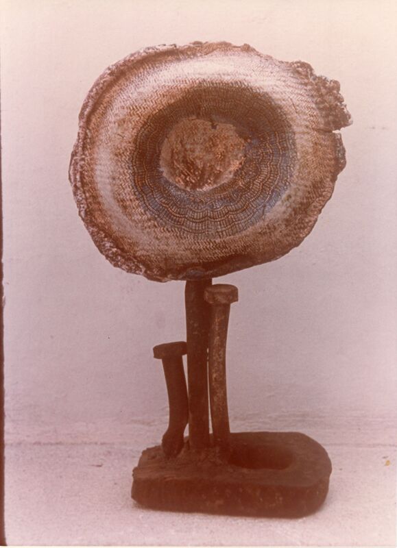 צילום, עידית עדי (1974), עידית עדי, תערוכת יחיד, Galeria Intercontinental (Rio de Janeiro), 1974, Galeria Intercontinental - 1974 - עידית עדי - צבע מקורי 010.jpg
