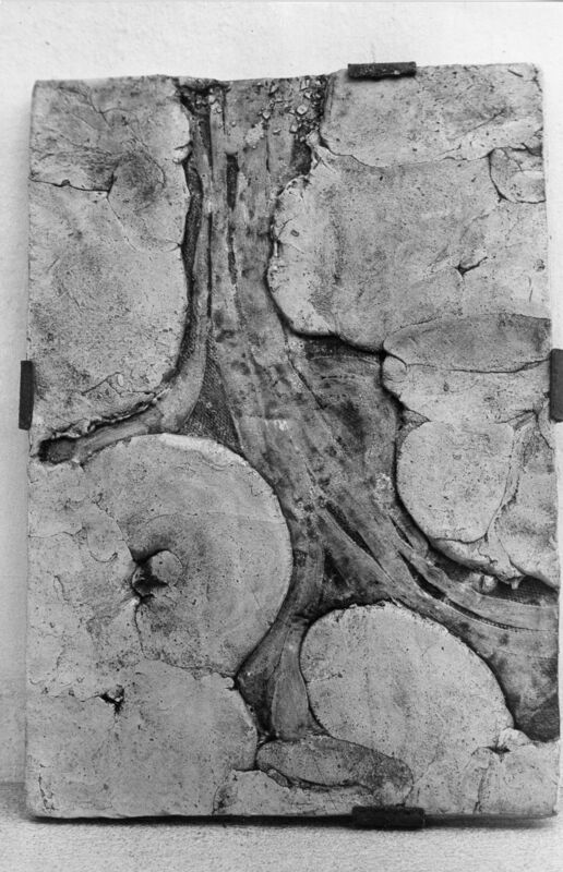 צילום, עידית עדי (1974), עידית עדי, תערוכת יחיד, Galeria Intercontinental (Rio de Janeiro), 1974, Galeria Intercontinental - 1974 - עידית עדי - שחור לבן 017.jpg