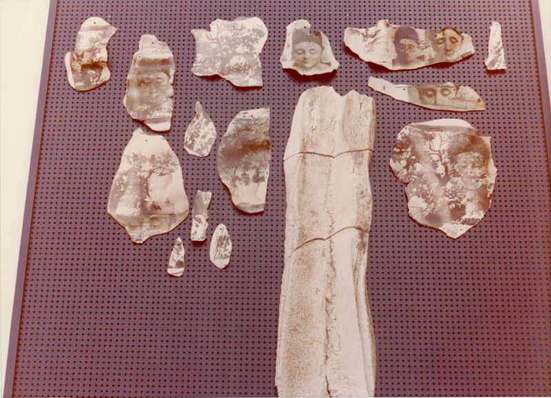 צילומי הצבה, Arboles trasmutados, עידית עדי, תערוכת יחיד, Galeria Kin (Mexico City), 1983, Arboles trasmutados