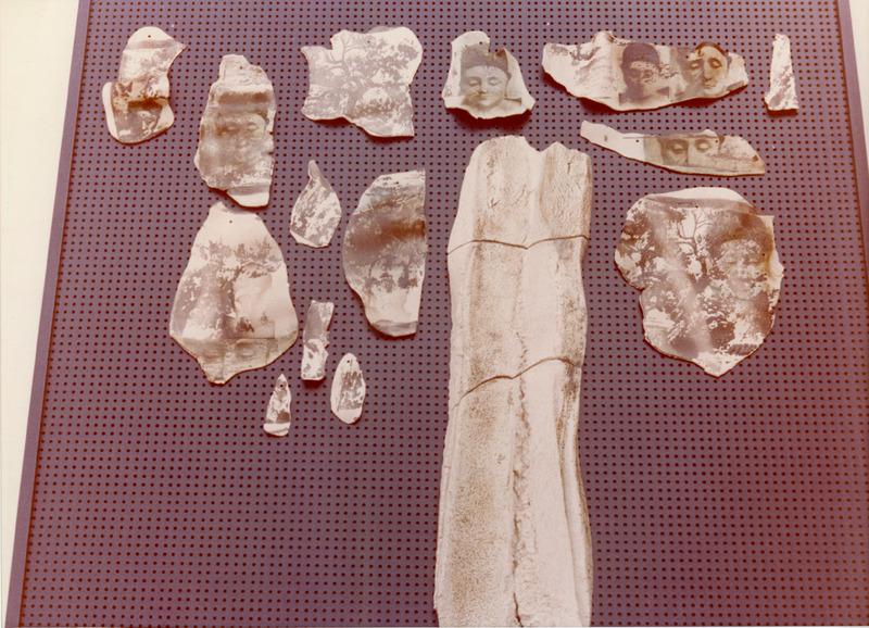 צילומי הצבה, Arboles trasmutados, עידית עדי, תערוכת יחיד, Galeria Kin (Mexico City), 1983, Arboles trasmutados