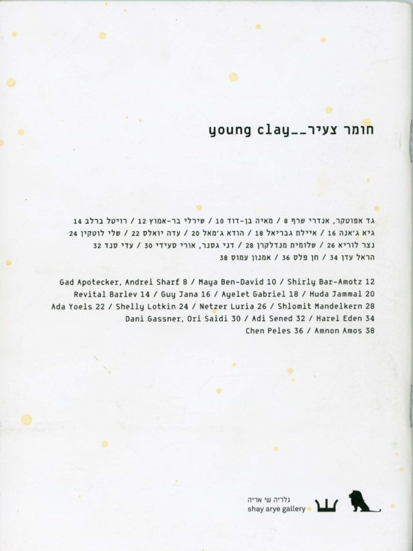 קטלוג, חומר צעיר, תערוכה קבוצתית, גלריה שי אריה (תל אביב), 2008